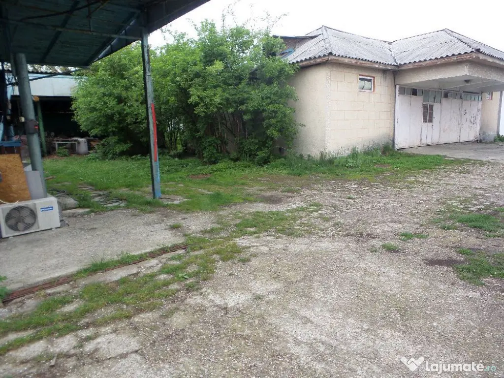 Hala nord Odobesti, Vrancea 