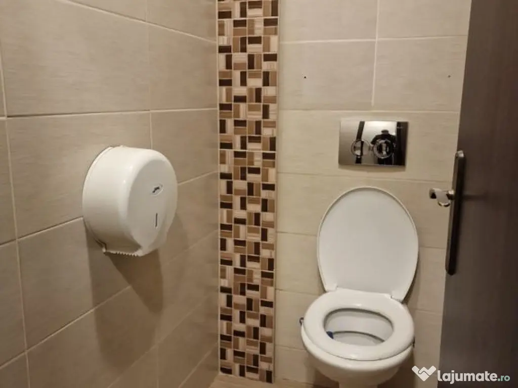 Centru Istoric 290 mp parter si Mezanin Open space trafic... 