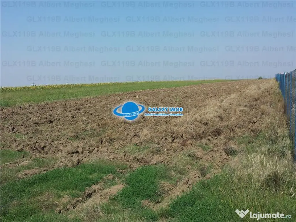 Teren Intravilan Herasti Giurgiu 2 HA