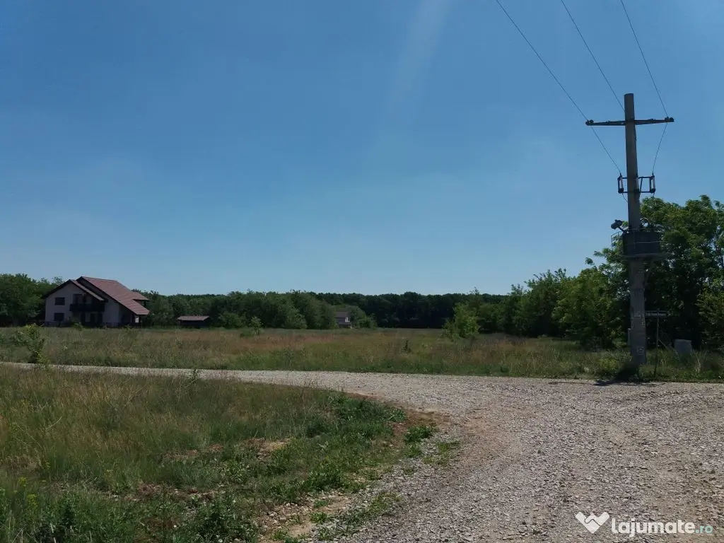 Teren intravilan inconjurat de padure, Ciofliceni, Snagov...