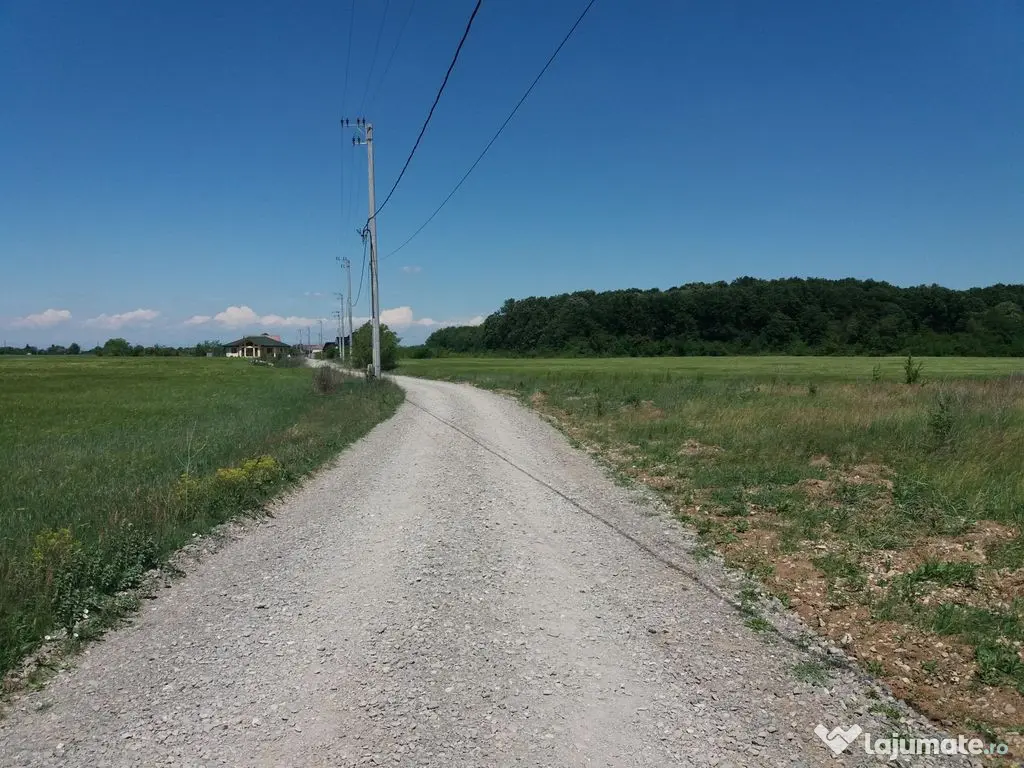 Teren intravilan inconjurat de padure, Ciofliceni, Snagov...