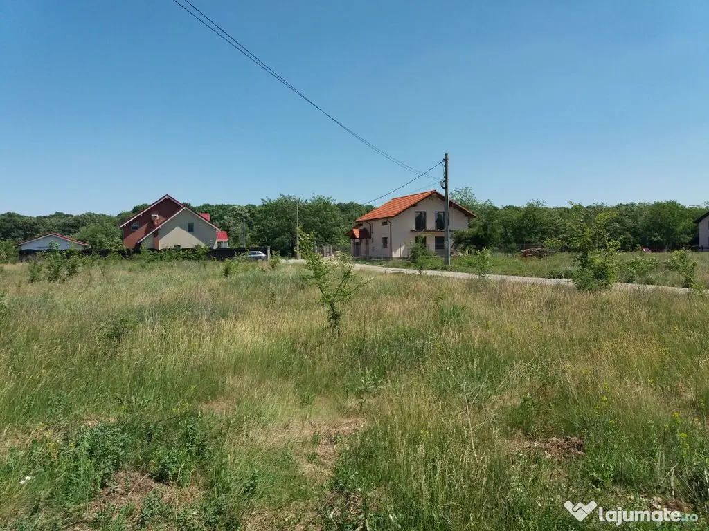 Teren intravilan inconjurat de padure, Ciofliceni, Snagov...