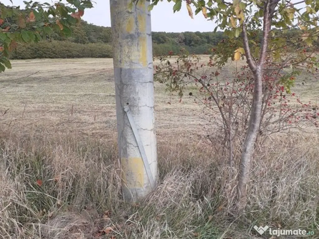 Teren intravilan inconjurat de padure, Ciofliceni, Snagov...