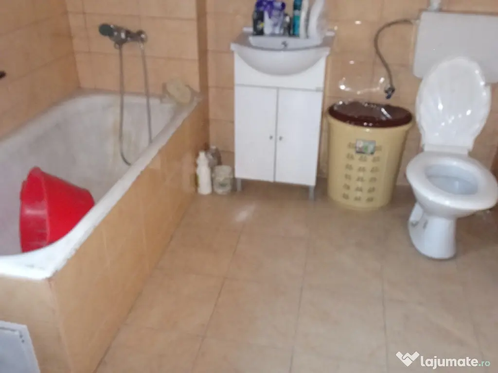 Casa curte si gradina in Branisca (la 15 Km de Deva)