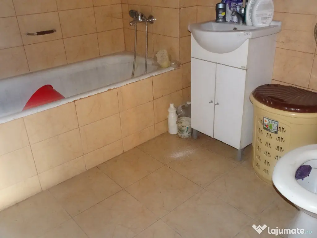 Casa curte si gradina in Branisca (la 15 Km de Deva)