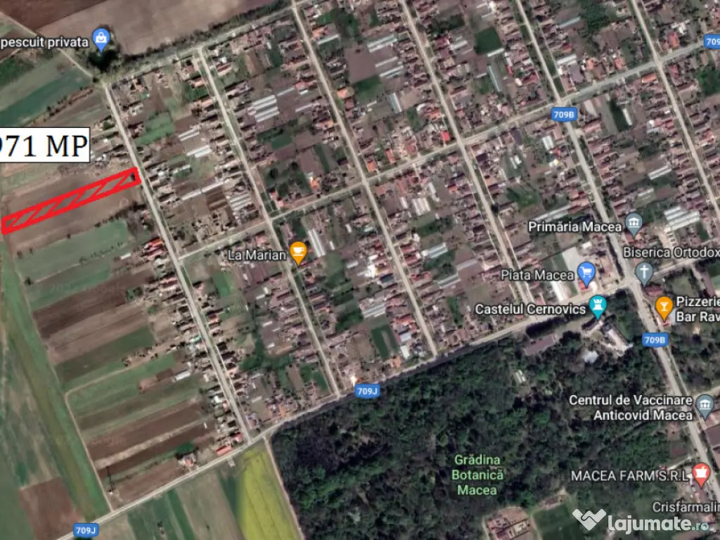 Teren 2971 mp in Macea - ID : RH-31435-property