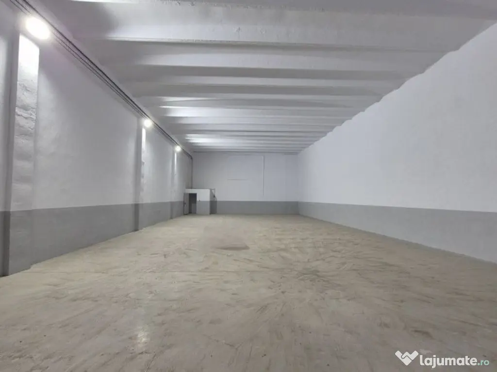 Hale pentru depozitare -acces din centura - in apropiere ...