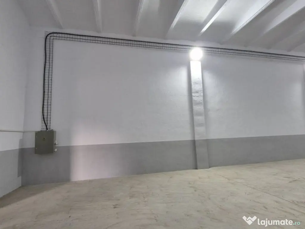 Hale pentru depozitare -acces din centura - in apropiere ...