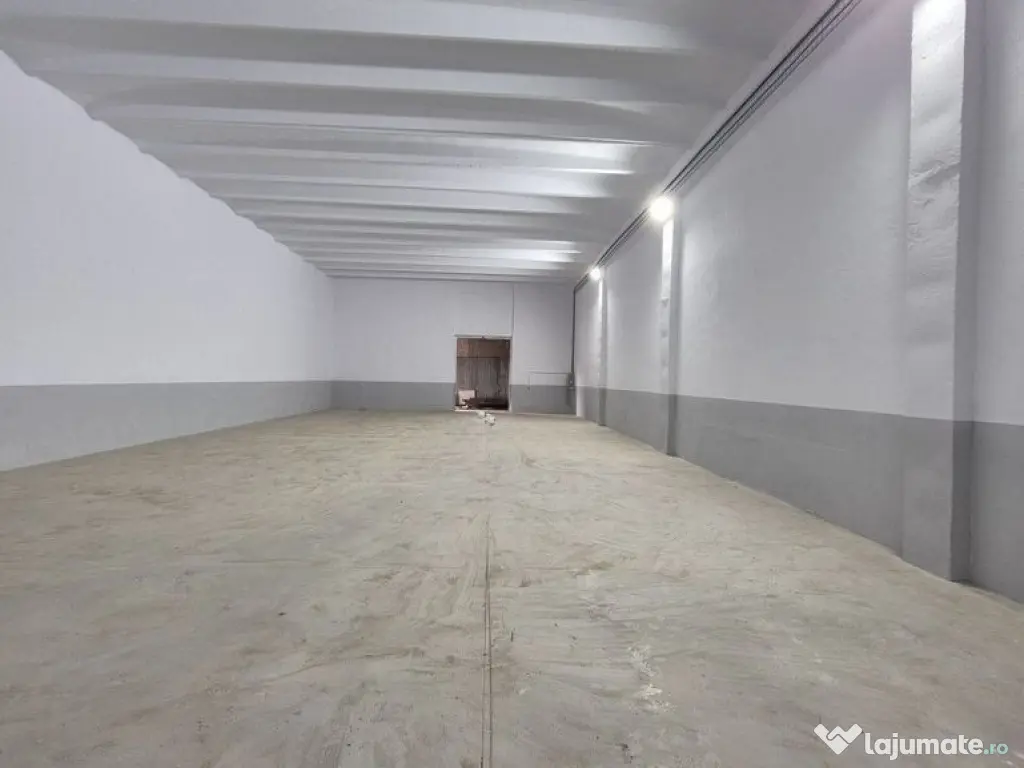 Hale pentru depozitare -acces din centura - in apropiere ...