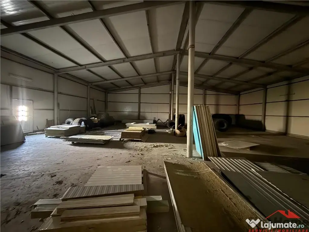 Hala de inchiriat, zona LVG acces din E85