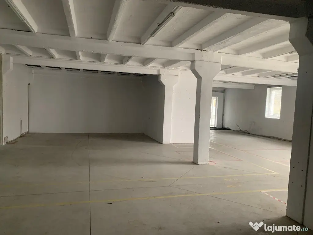 Hala industriala - zona industriala 6 - 365 mp 