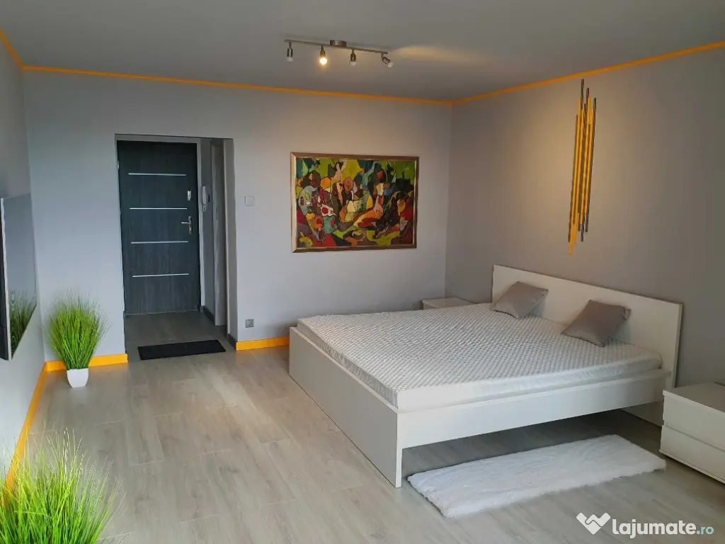 1 camera zona Lipovei