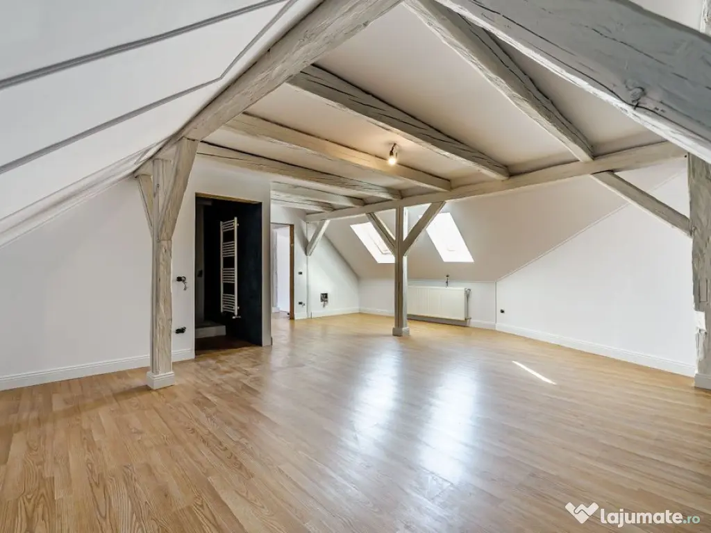 Apartament ultracentral cu 3 camere 