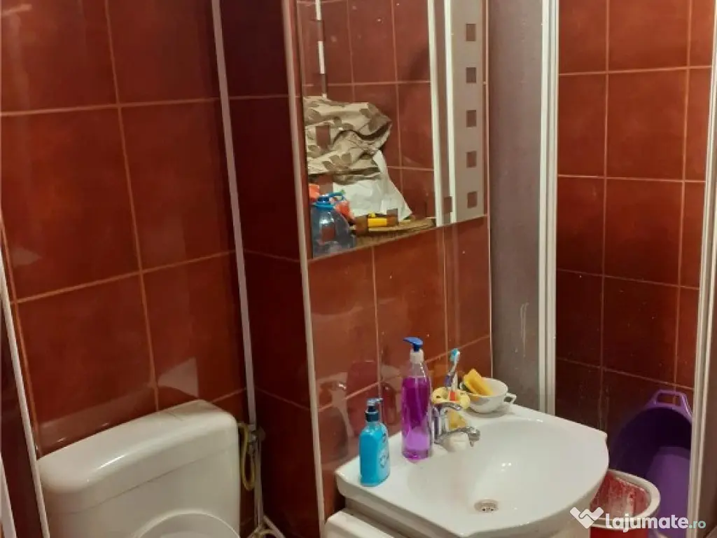 Inchiriere apartament o camera Blascovici 