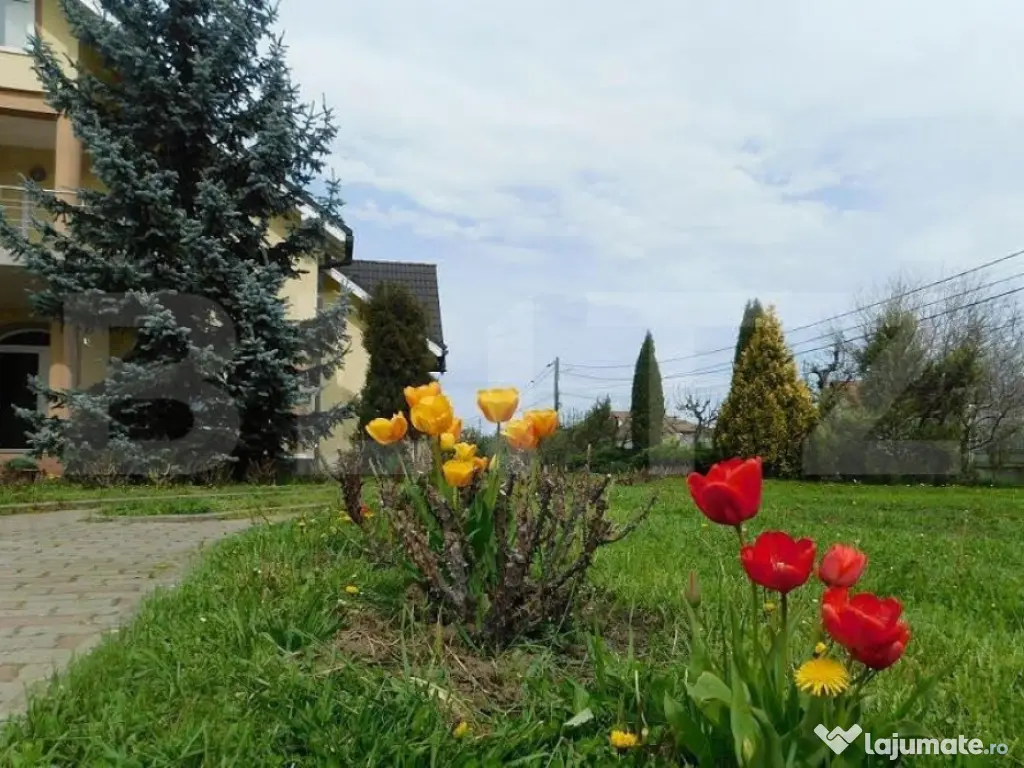 Casa cu 5 camere, 386 mp, Sangeorgiu de Mures, zona Apollo S