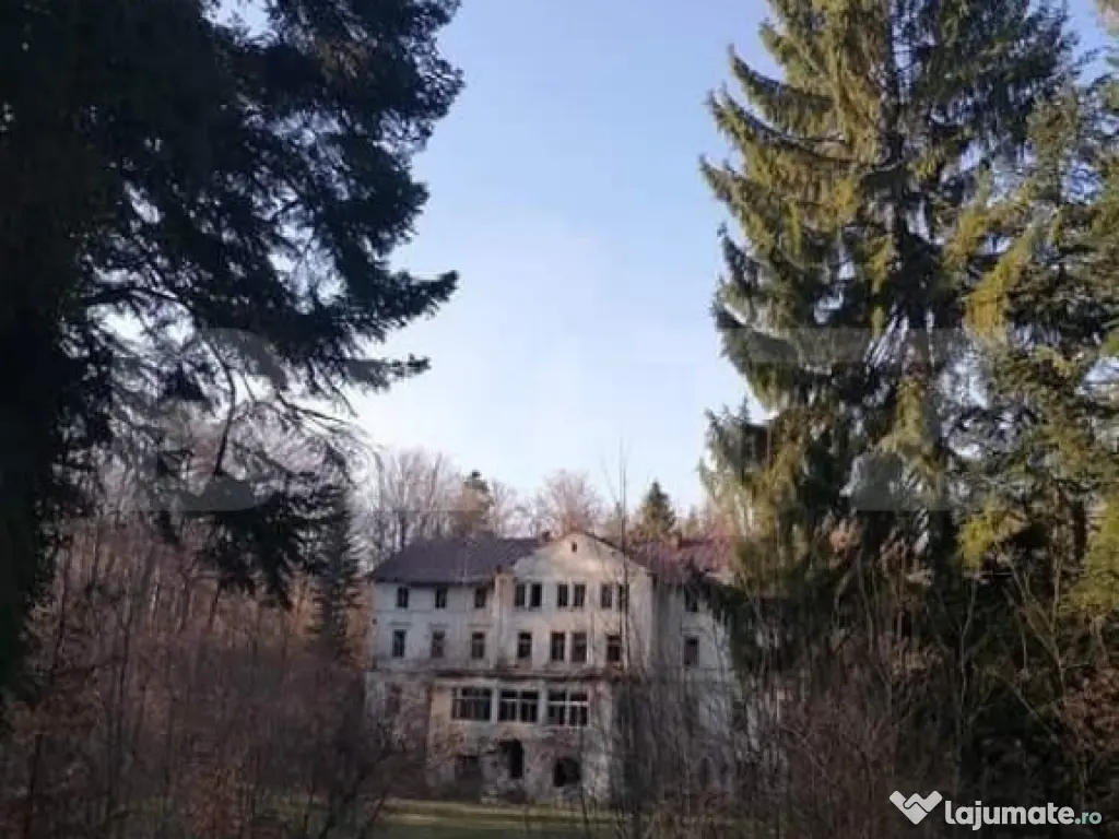 Vila printesei Sisi, 30 de camere, 3 ha, 2000 mp construiti,