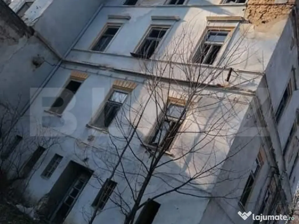 Vila printesei Sisi, 30 de camere, 3 ha, 2000 mp construiti,