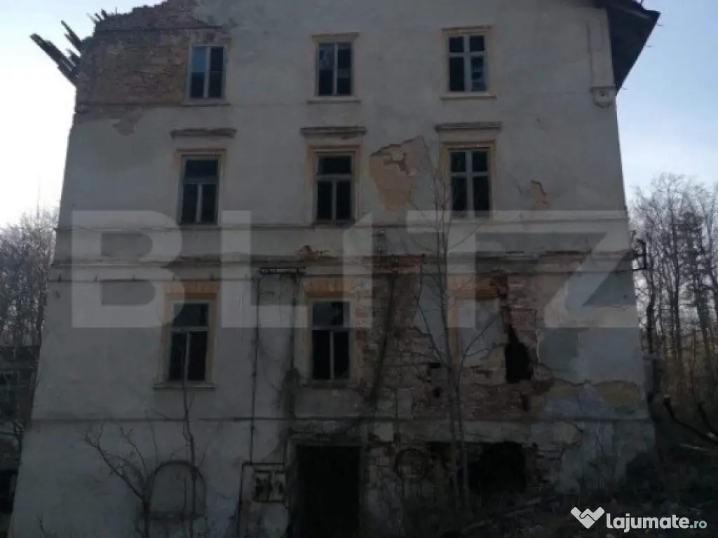 Vila printesei Sisi, 30 de camere, 3 ha, 2000 mp construiti,