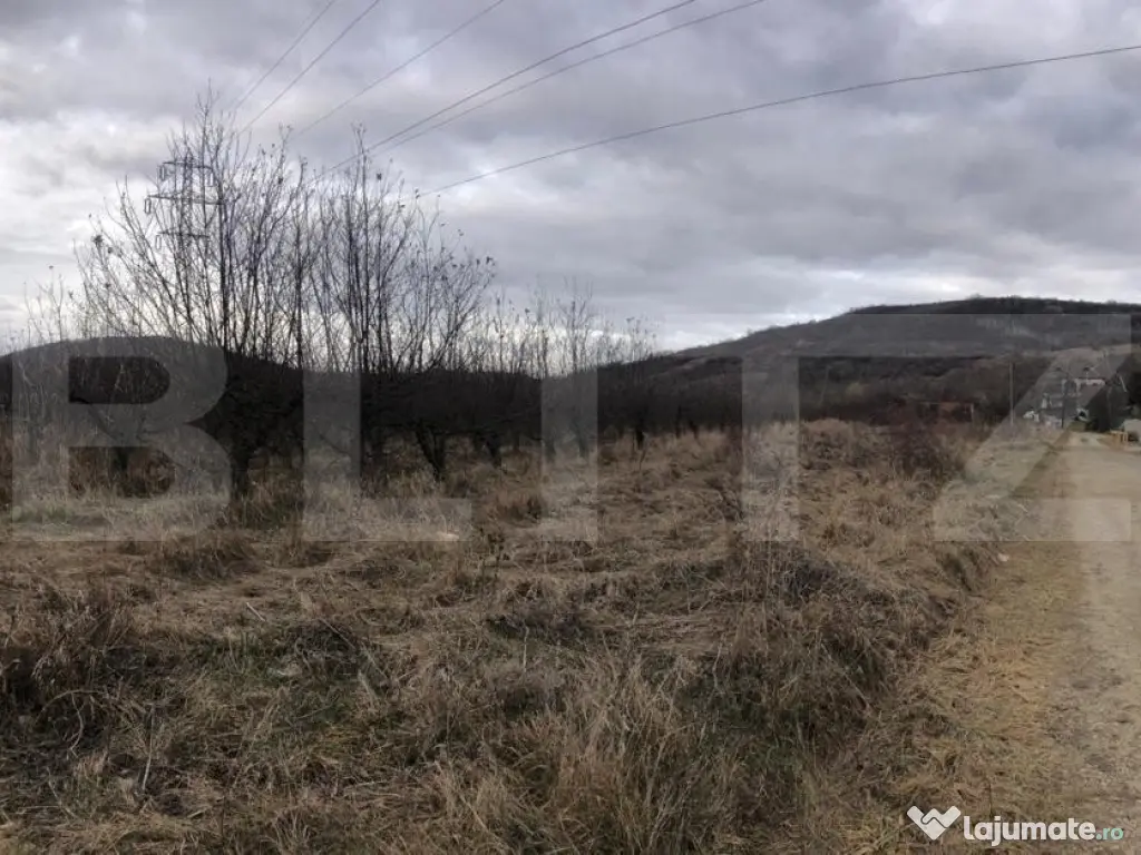 Teren intravilan, 1037 mp, Viforata