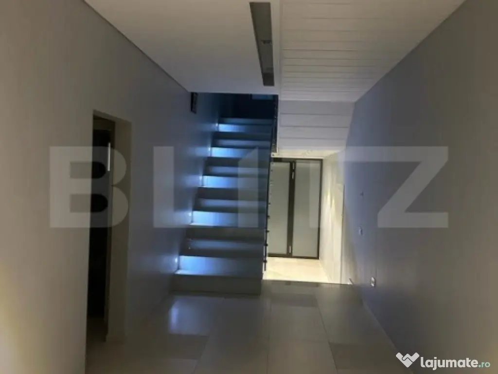 Vila, 8 camere, 790 mp utili, zona Lunei