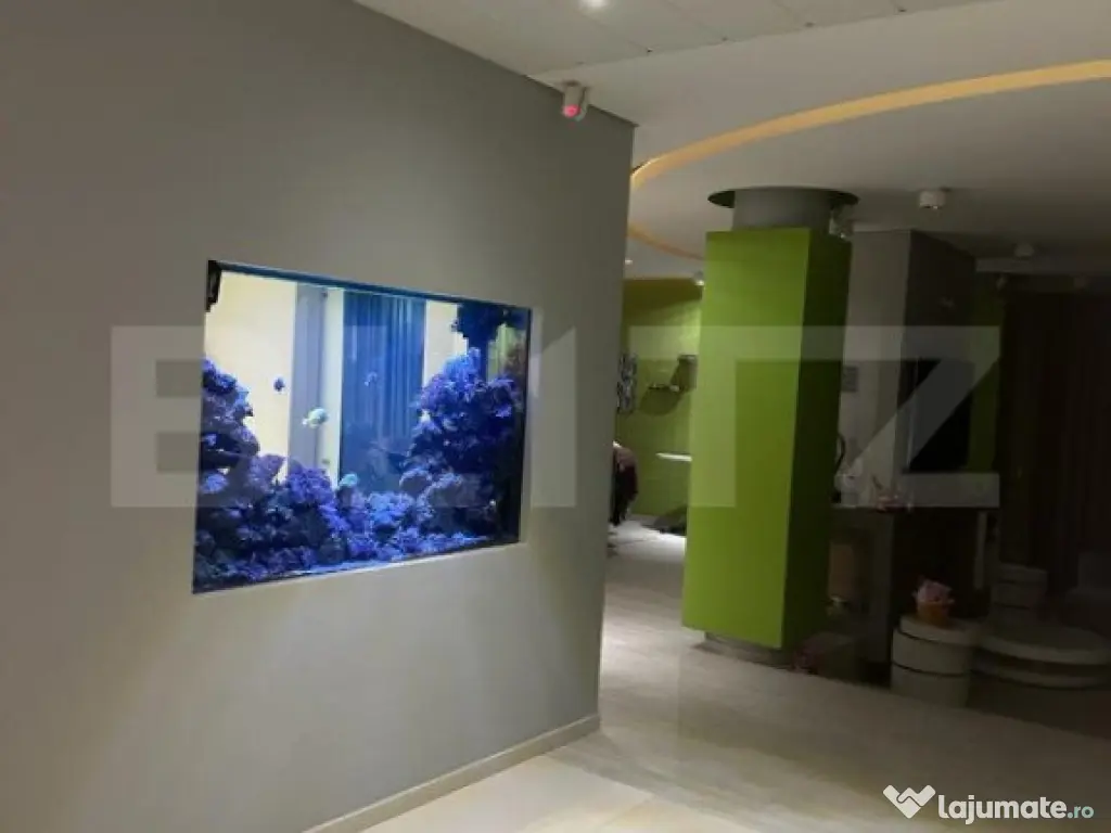 Vila, 8 camere, 790 mp utili, zona Lunei