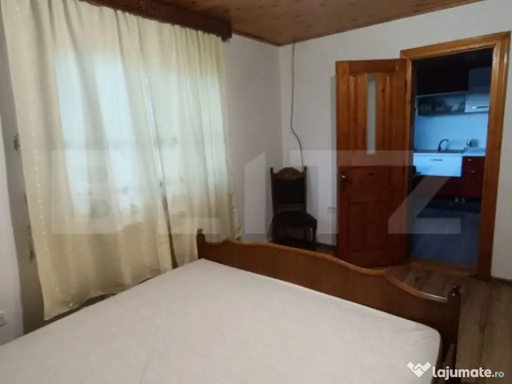 1 casă 160mp + 1 casă 110mp + garaj, pe teren 9ari, 2 căi