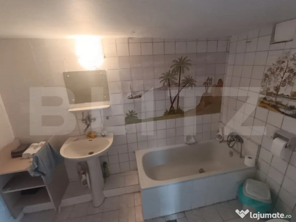 1 casă 160mp + 1 casă 110mp + garaj, pe teren 9ari, 2 căi