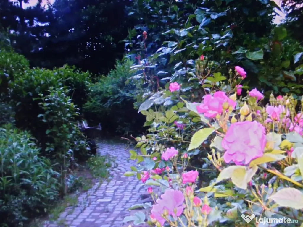 VILA SAFTICA individuala 