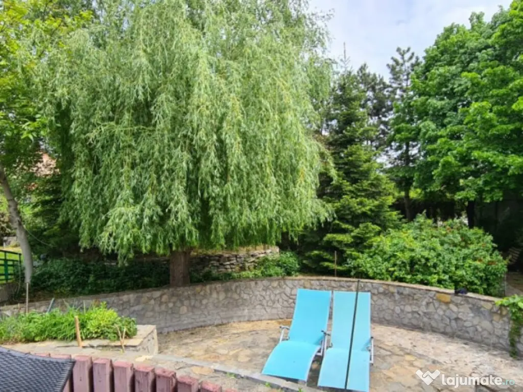 VILA SAFTICA individuala 