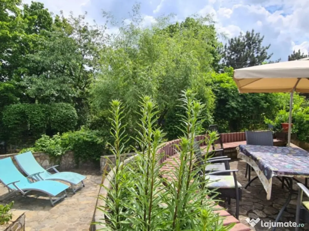 VILA SAFTICA individuala 