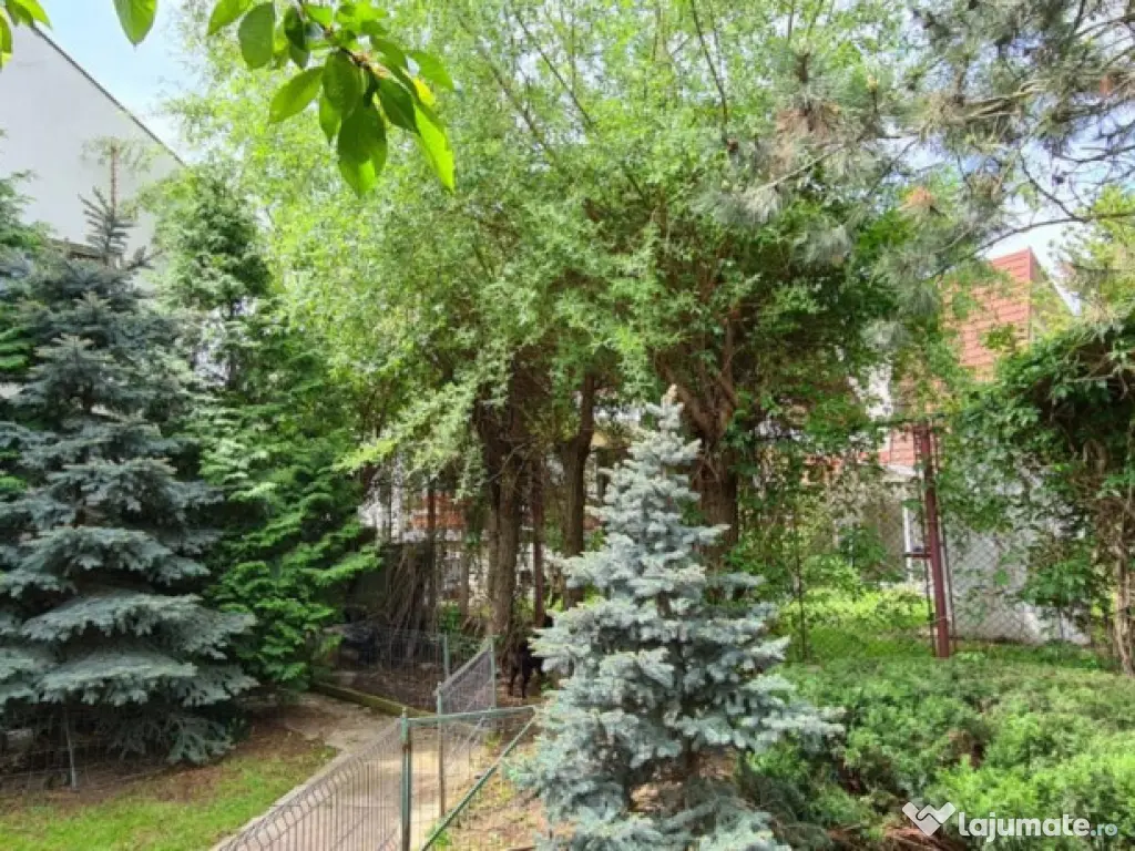 VILA SAFTICA individuala 