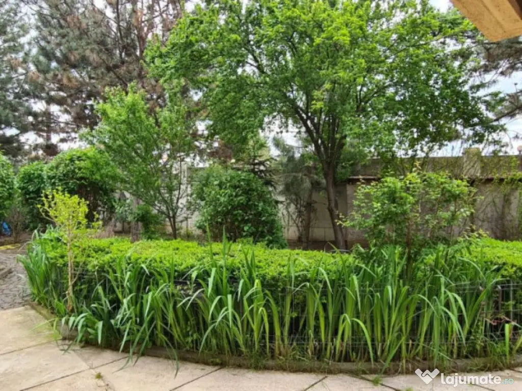 VILA SAFTICA individuala 