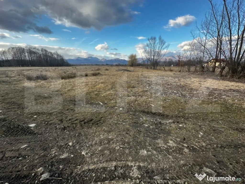 Teren 8000 mp, zona Pestisani