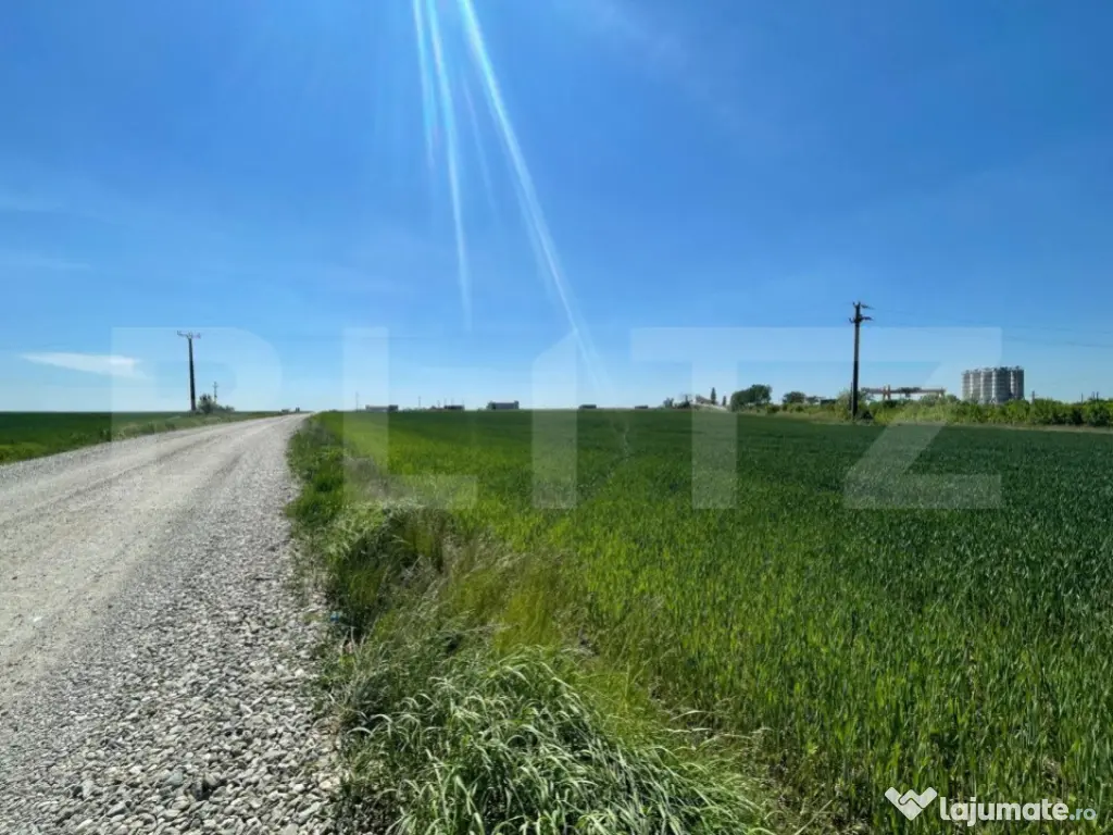 Teren intravilan 25.000 mp, front 300 mp , zona industriala