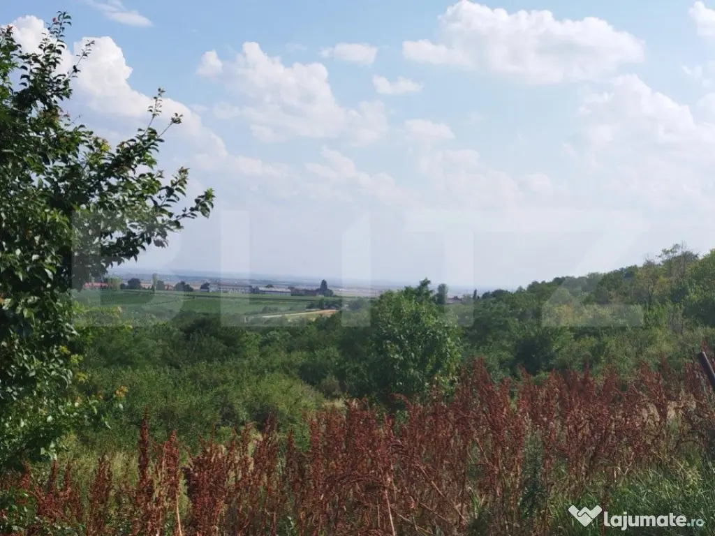 Teren, 3600mp, Drumul Vinului