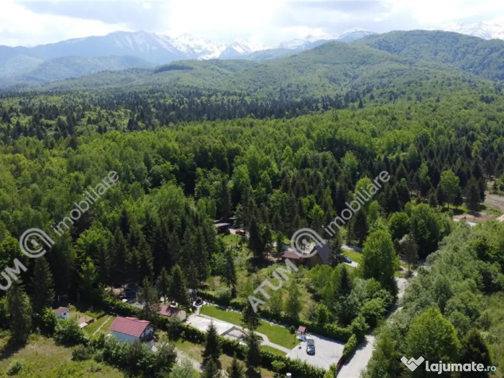 Teren intravilan 1250 mp de in Avrig zona Valea Avrigului 