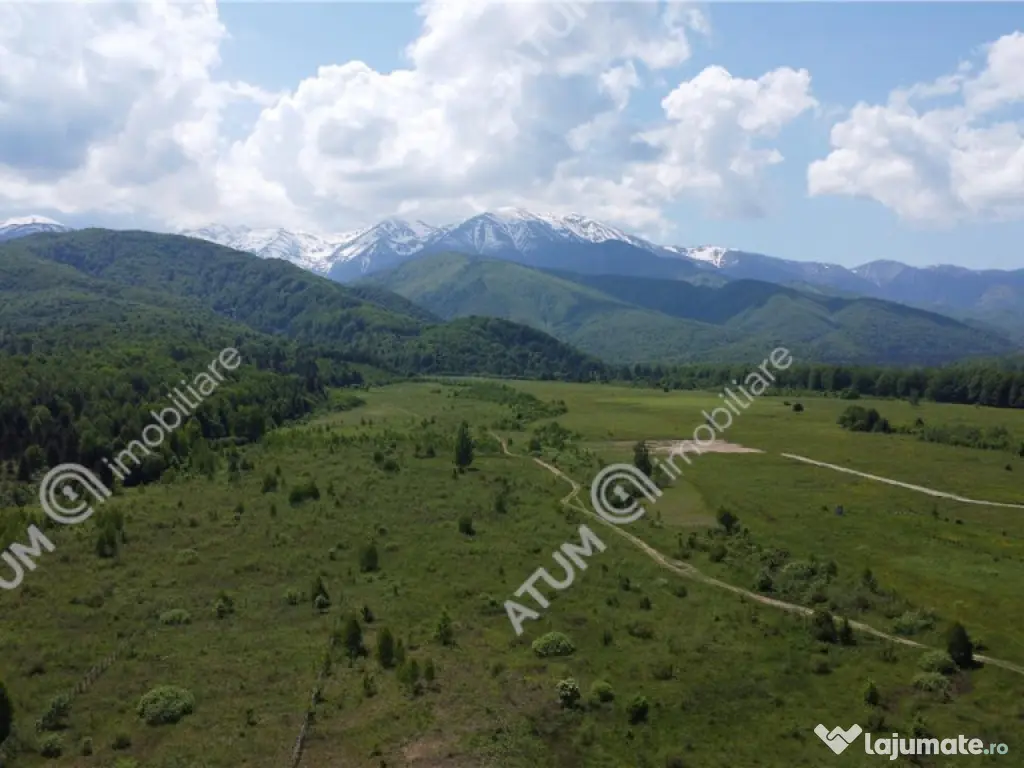 Teren intravilan 1250 mp de in Avrig zona Valea Avrigului 