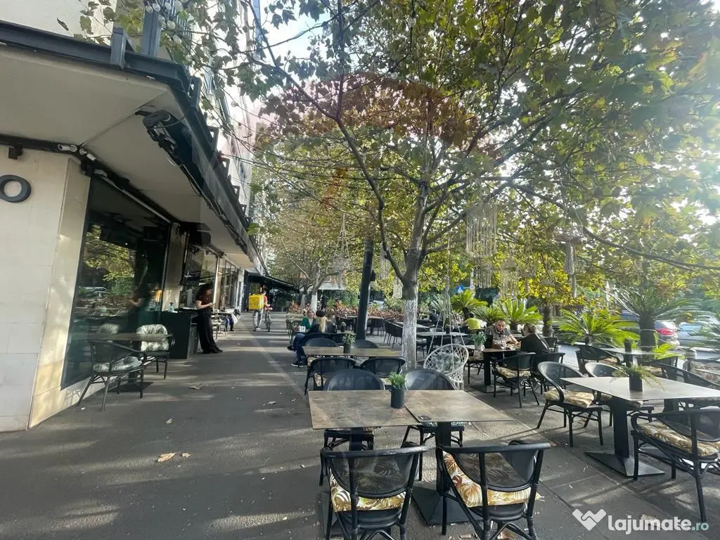 Spațiu birouri/Sediu firma de vanzare Parcul Carol