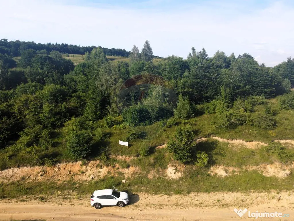 Teren de vanzare in Salicea, 10000 MP , Zona Moara de vant! 