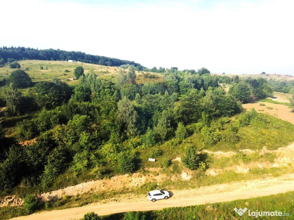 Teren de vanzare in Salicea, 10000 MP , Zona Moara de vant! 