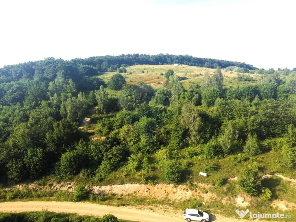Teren de vanzare in Salicea, 10000 MP , Zona Moara de vant! 