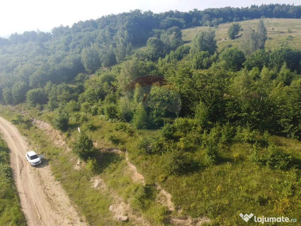 Teren de vanzare in Salicea, 10000 MP , Zona Moara de vant! 