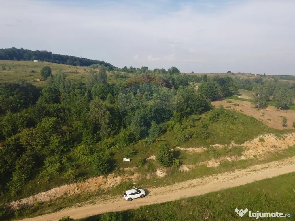 Teren de vanzare in Salicea, 10000 MP , Zona Moara de vant! 