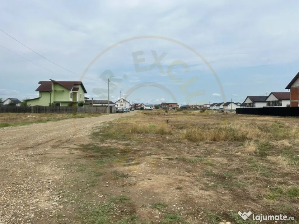 Comision 0% - Teren 10.000 mp - Str. Octavian Goga, Craiovei 
