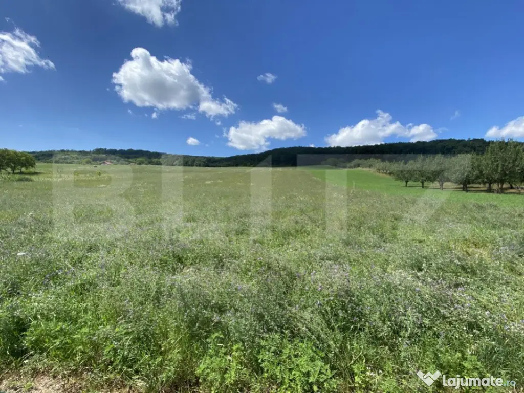 Teren intravilan in suparafat de 19213 mp, zona Valea Mitii