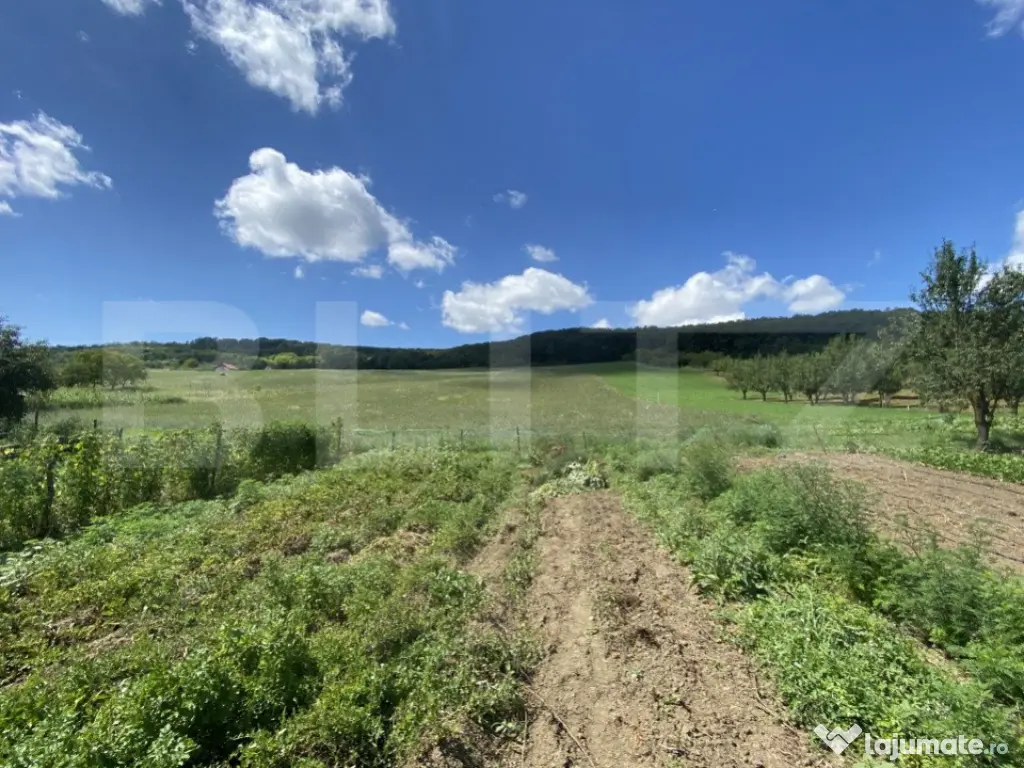 Teren intravilan in suparafat de 19213 mp, zona Valea Mitii