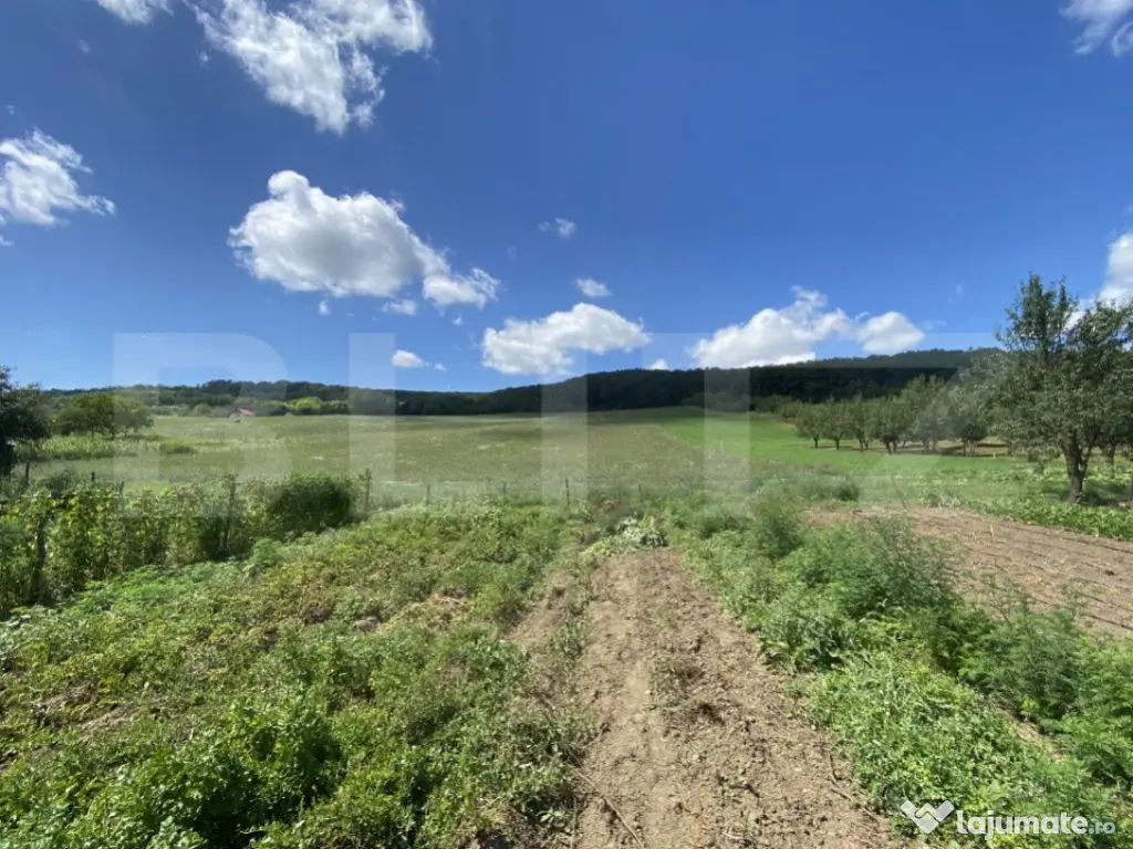 Teren intravilan in suparafat de 19213 mp, zona Valea Mitii