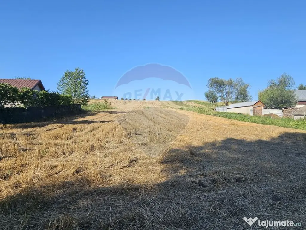 Teren intravilan, 7500 mp in Moara Carp / Strada Eternita...