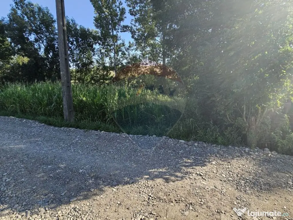 Teren intravilan, 7500 mp in Moara Carp / Strada Eternita...