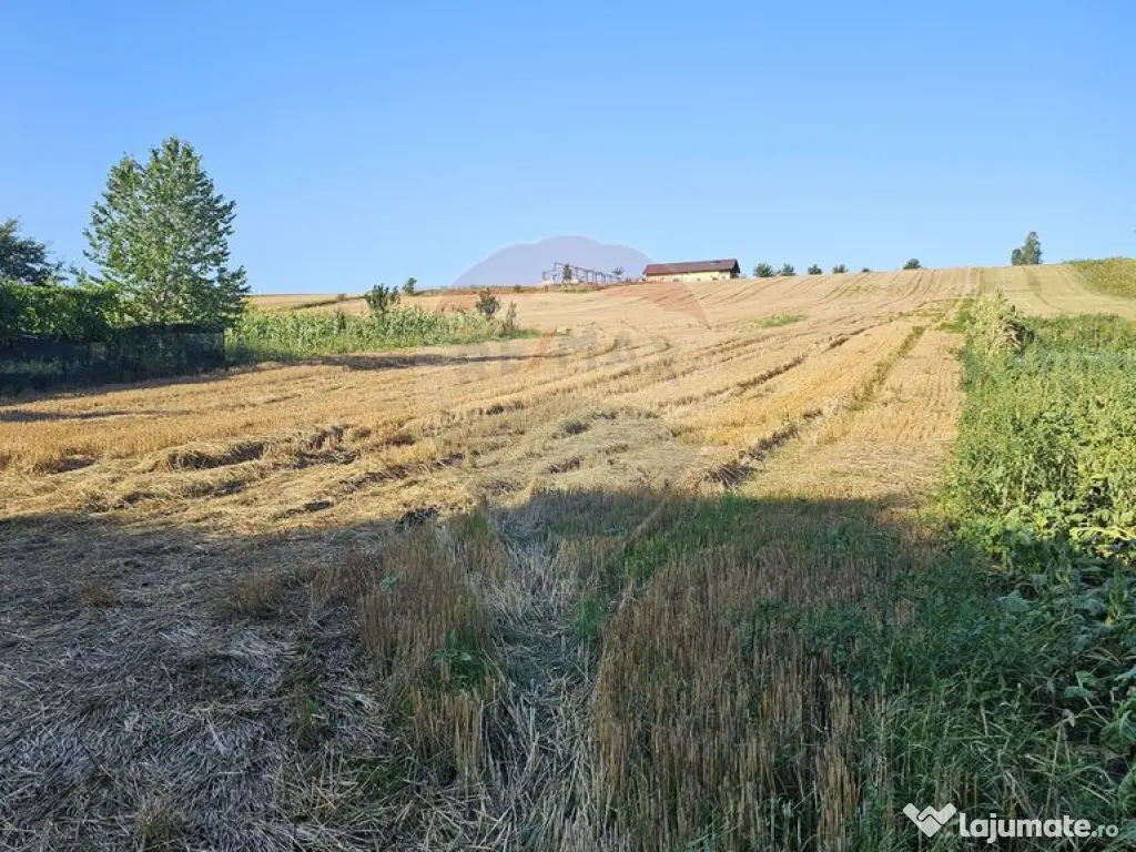Teren intravilan, 7500 mp in Moara Carp / Strada Eternita...